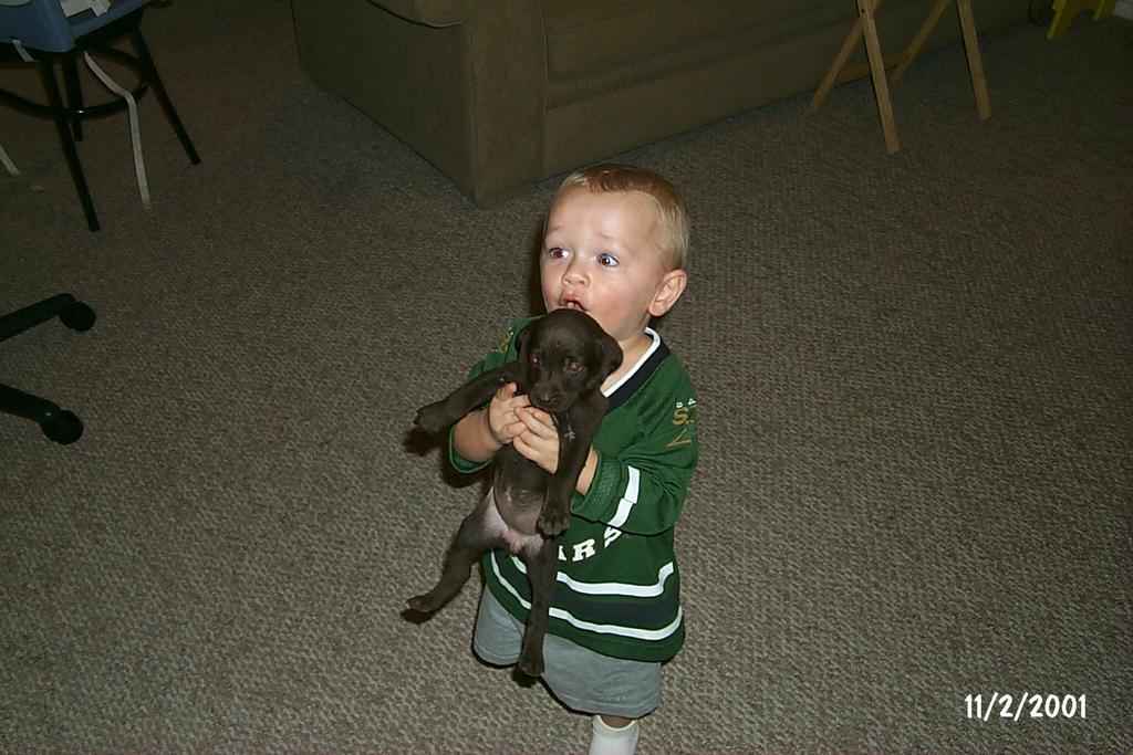 2001/11(November)/Vale_and_Puppies/1024x768_P0003303.JPG