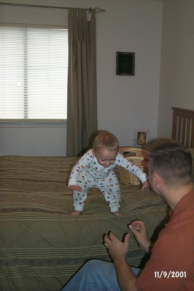 2001/11(November)/Vale_and_Puppies/640x480_P0003319.JPG
