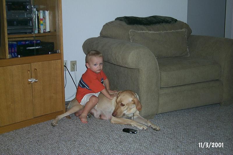 2001/11(November)/Vale_and_Puppies/800x600_P0003310.JPG