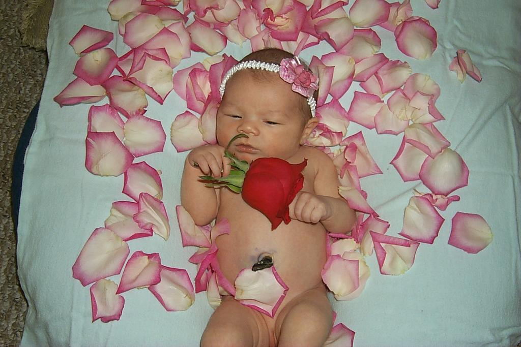 2002/02(February)/Flowers/1024x768_P0003547.JPG