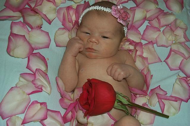 2002/02(February)/Flowers/640x480_P0003546.JPG