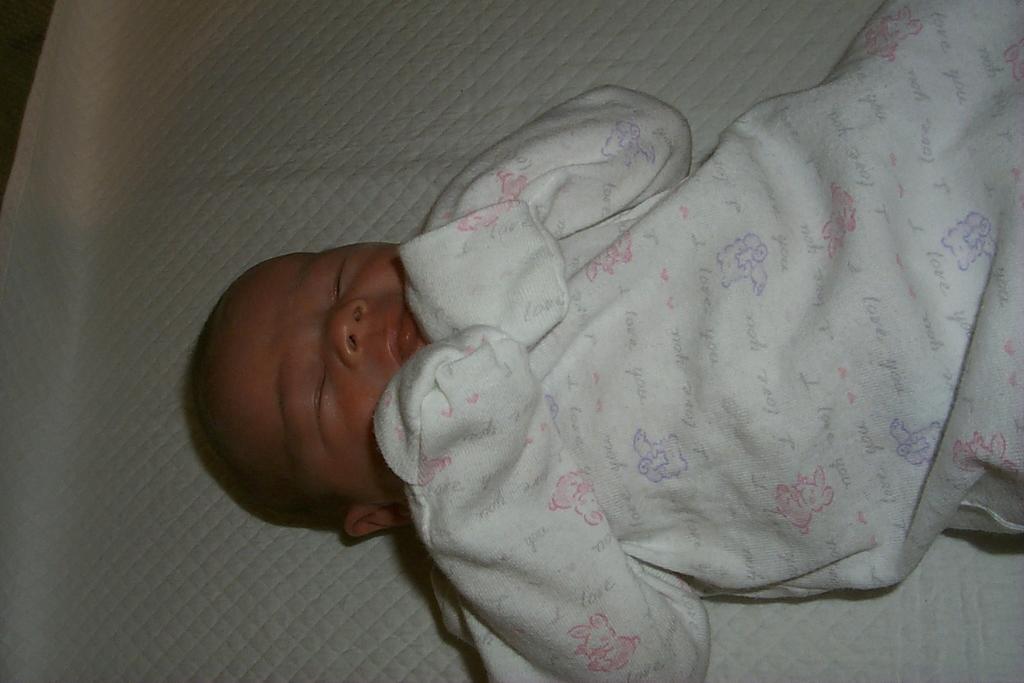 2002/02(February)/Kyla/1024x768_P0003560.JPG