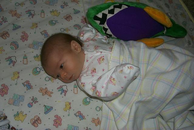 2002/02(February)/Kyla/640x480_P0003573.JPG