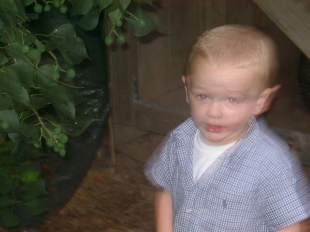 IMGP0040.JPG