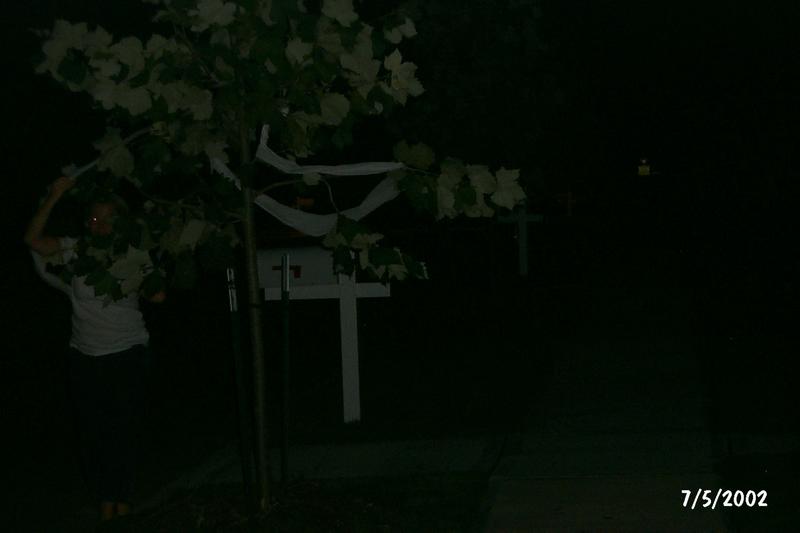 P0004133.JPG