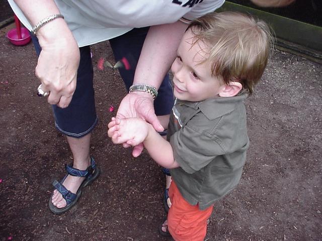 2001/06(June)/brownsville_trip/640x480_gumpy_jack_flitting_butterfly.jpg