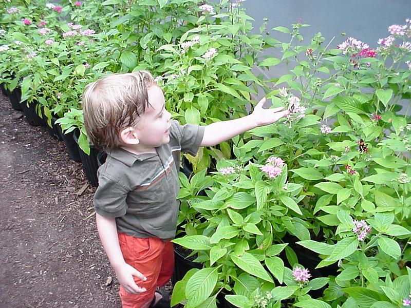 jack_butterfly_sanctuary.jpg