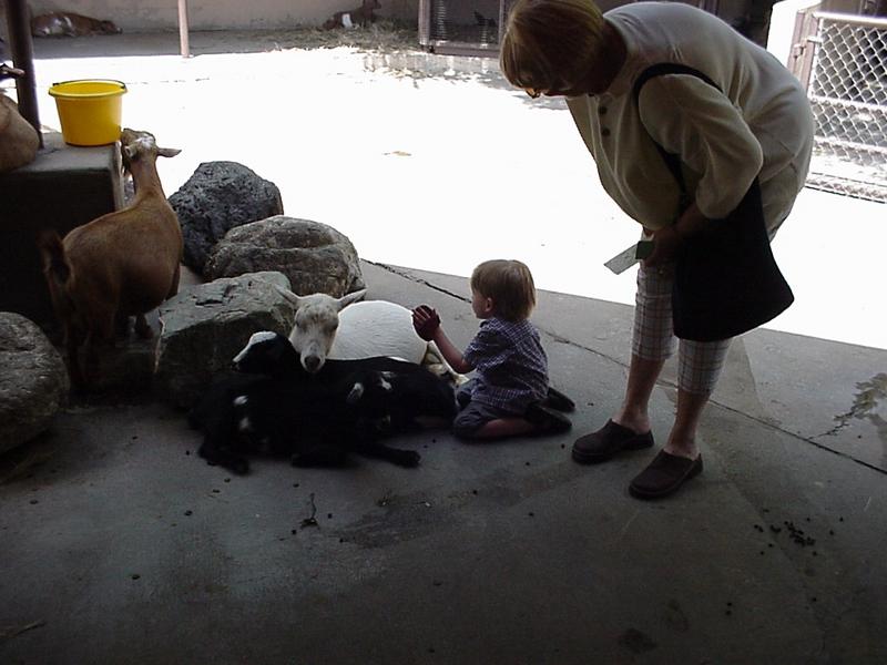 jack_judy_pettingzoo.jpg
