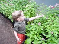 jack_butterfly_sanctuary.jpg