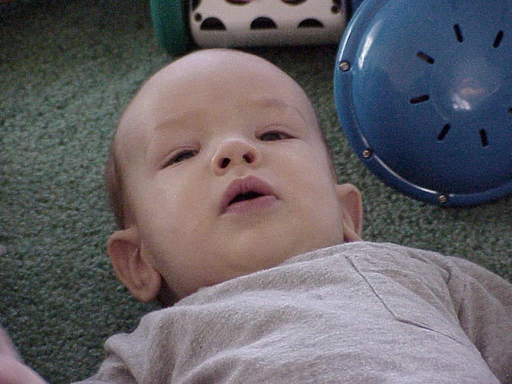 2002/02(February)/Houston/1024x768_case.JPG