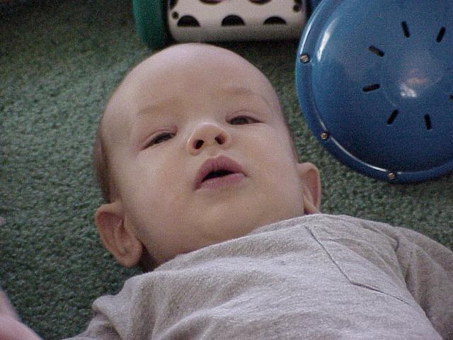 2002/02(February)/Houston/640x480_case.JPG