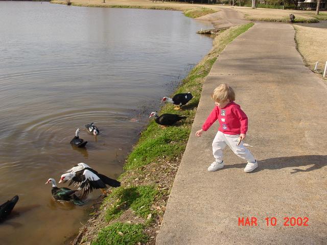 2002/03(March)/Houston/640x480_jack_ducks.JPG
