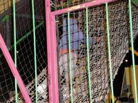 Jack_Climbing_Rope_Ladder.JPG