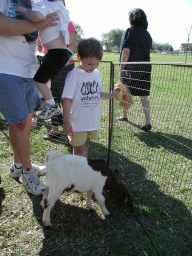case_pets_goat.JPG
