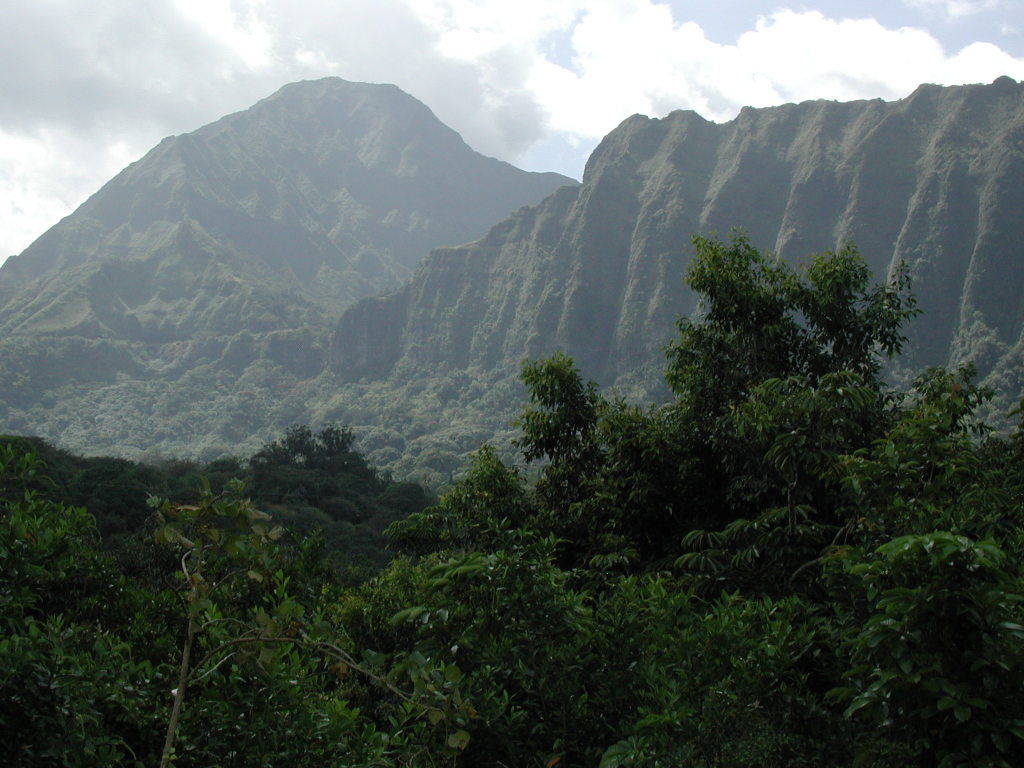 2005/03(March)/Hawaii/1024x768_mountain_from_botanical_garden.JPG