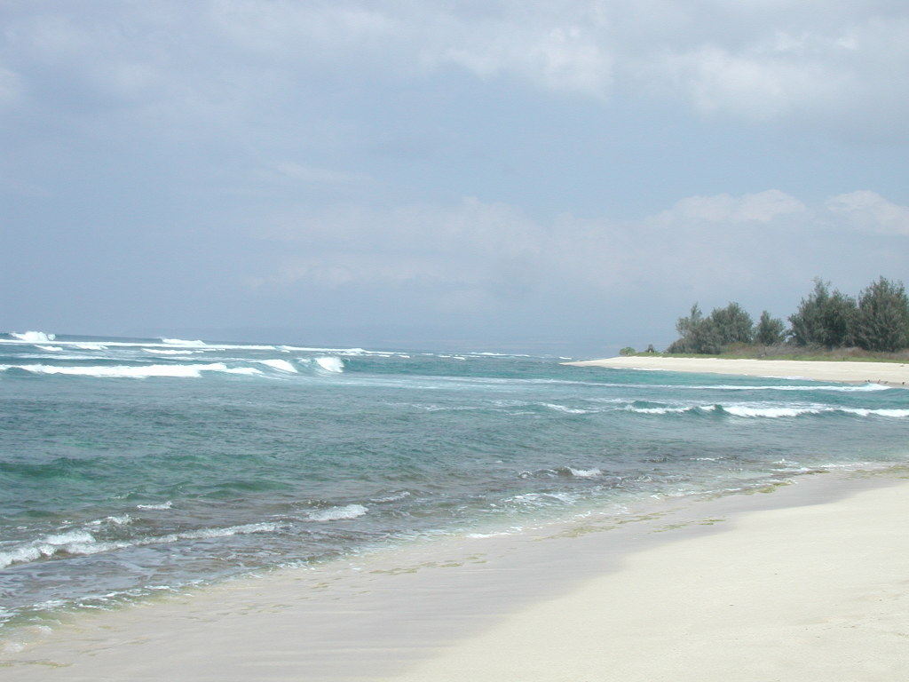 2005/03(March)/Hawaii/1024x768_pretty_beach.JPG