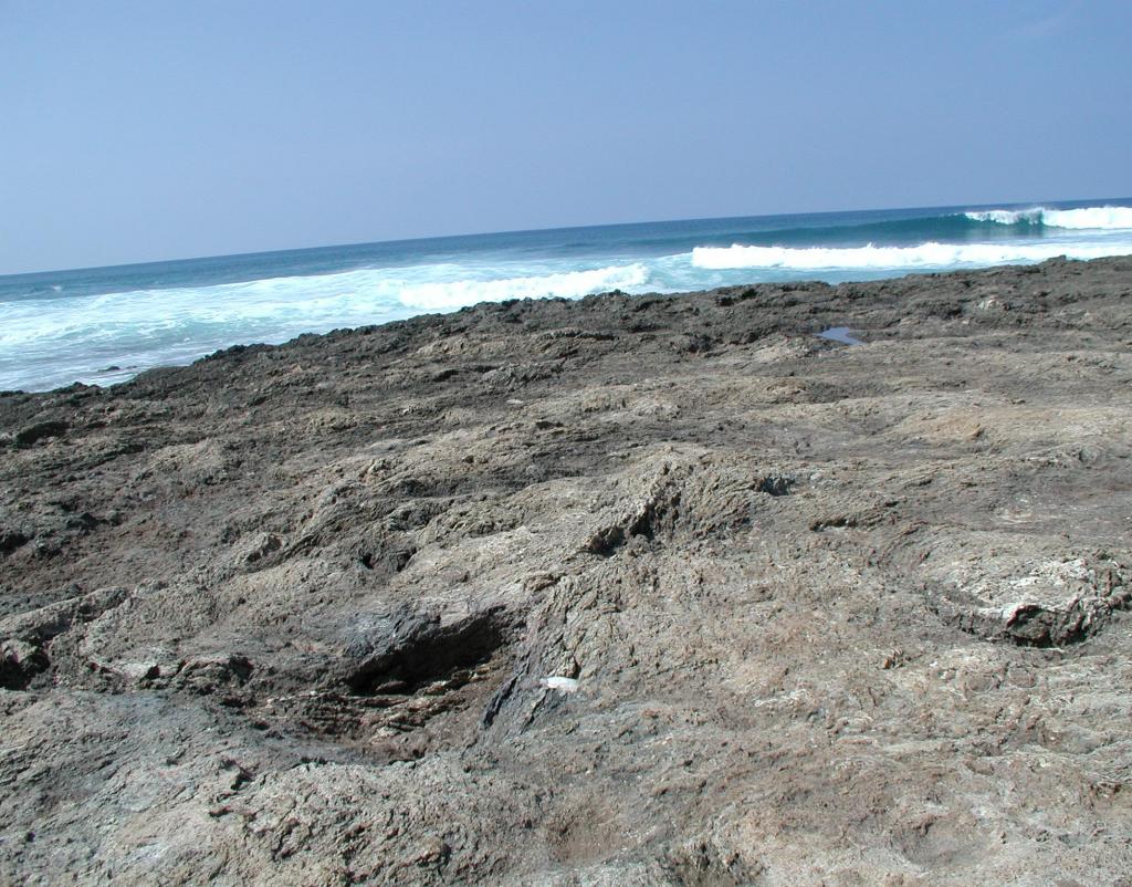 2005/03(March)/Hawaii/1024x768_rocky_beach.JPG