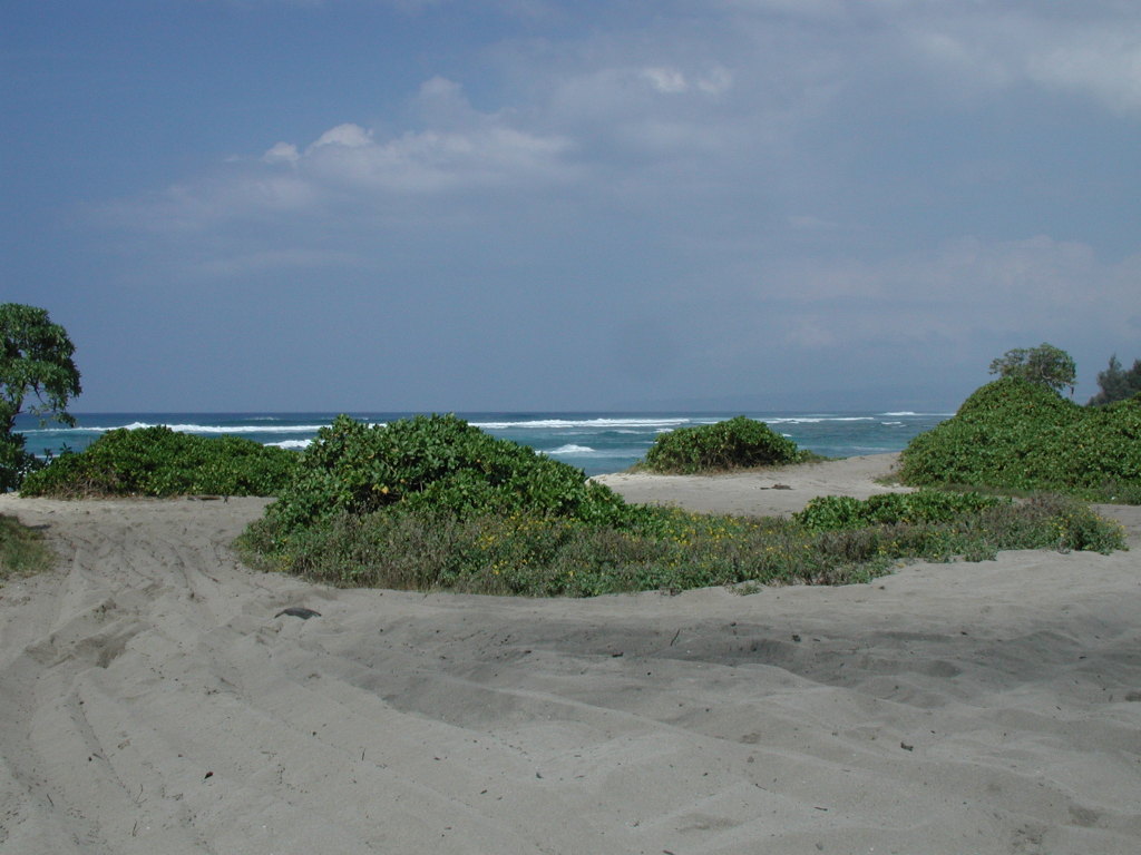 2005/03(March)/Hawaii/1024x768_sandy_beach.JPG