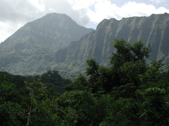 2005/03(March)/Hawaii/640x480_mountain_from_botanical_garden.JPG