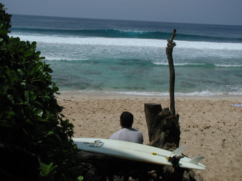 2005/03(March)/Hawaii/800x600_anticipation.JPG