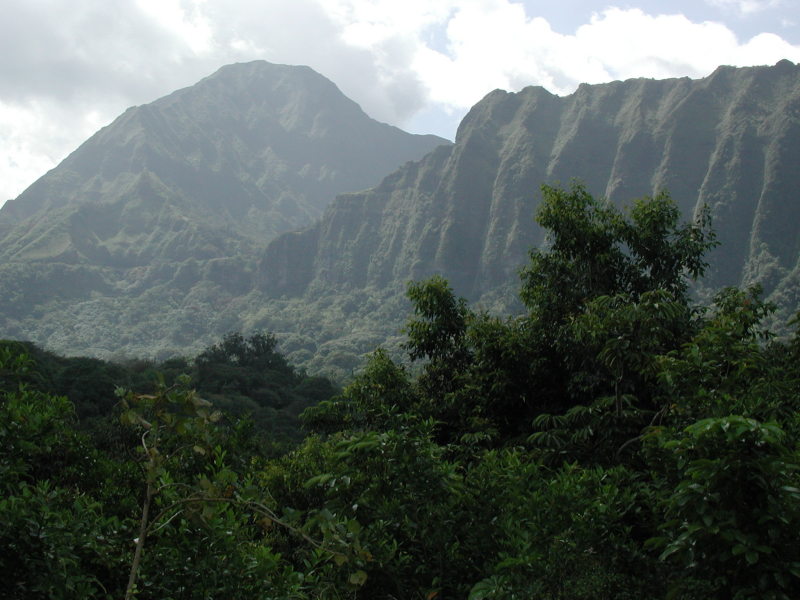 2005/03(March)/Hawaii/800x600_mountain_from_botanical_garden.JPG