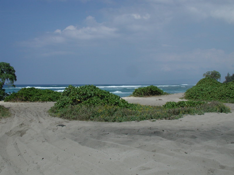 2005/03(March)/Hawaii/800x600_sandy_beach.JPG