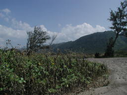 mountain_from_beach.JPG