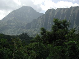 mountain_from_botanical_garden.JPG