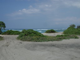 sandy_beach.JPG