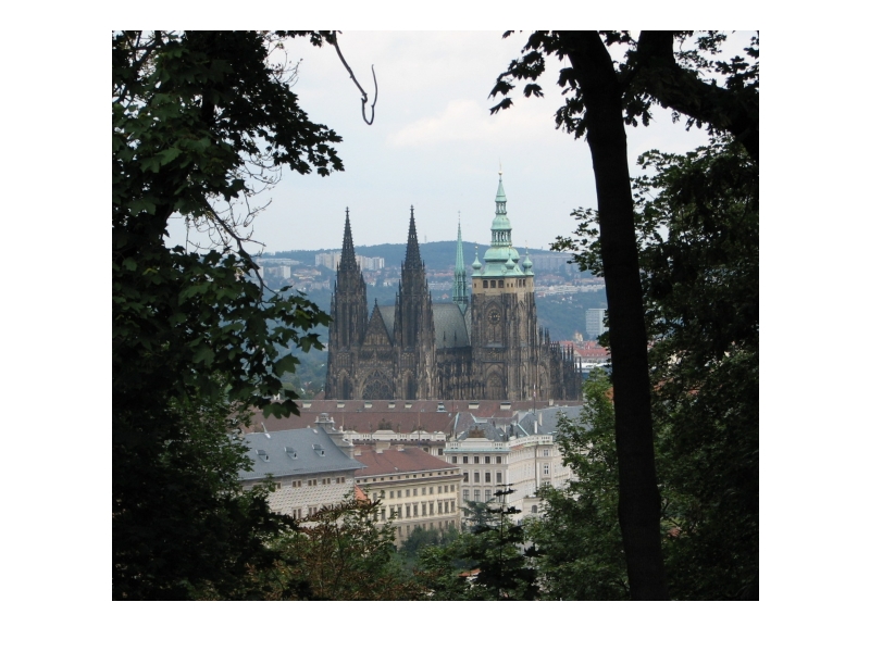 church_through_forest1.jpg
