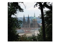 church_through_forest1.jpg