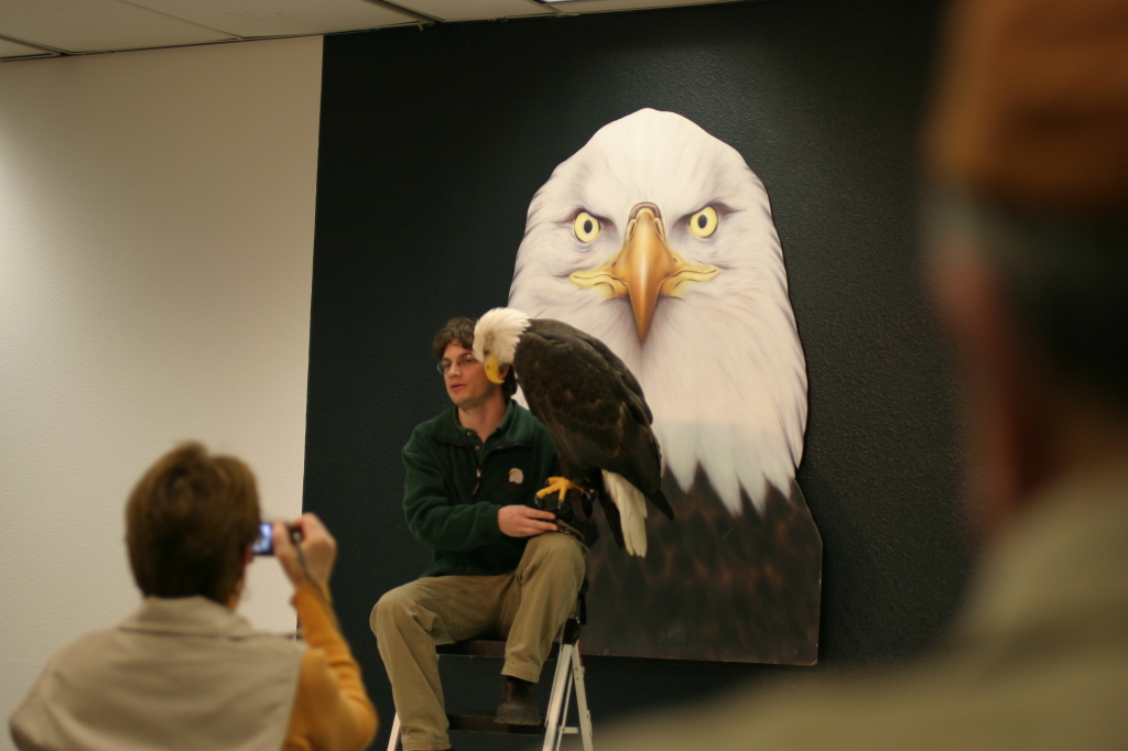Sitka_big_eagle.jpg