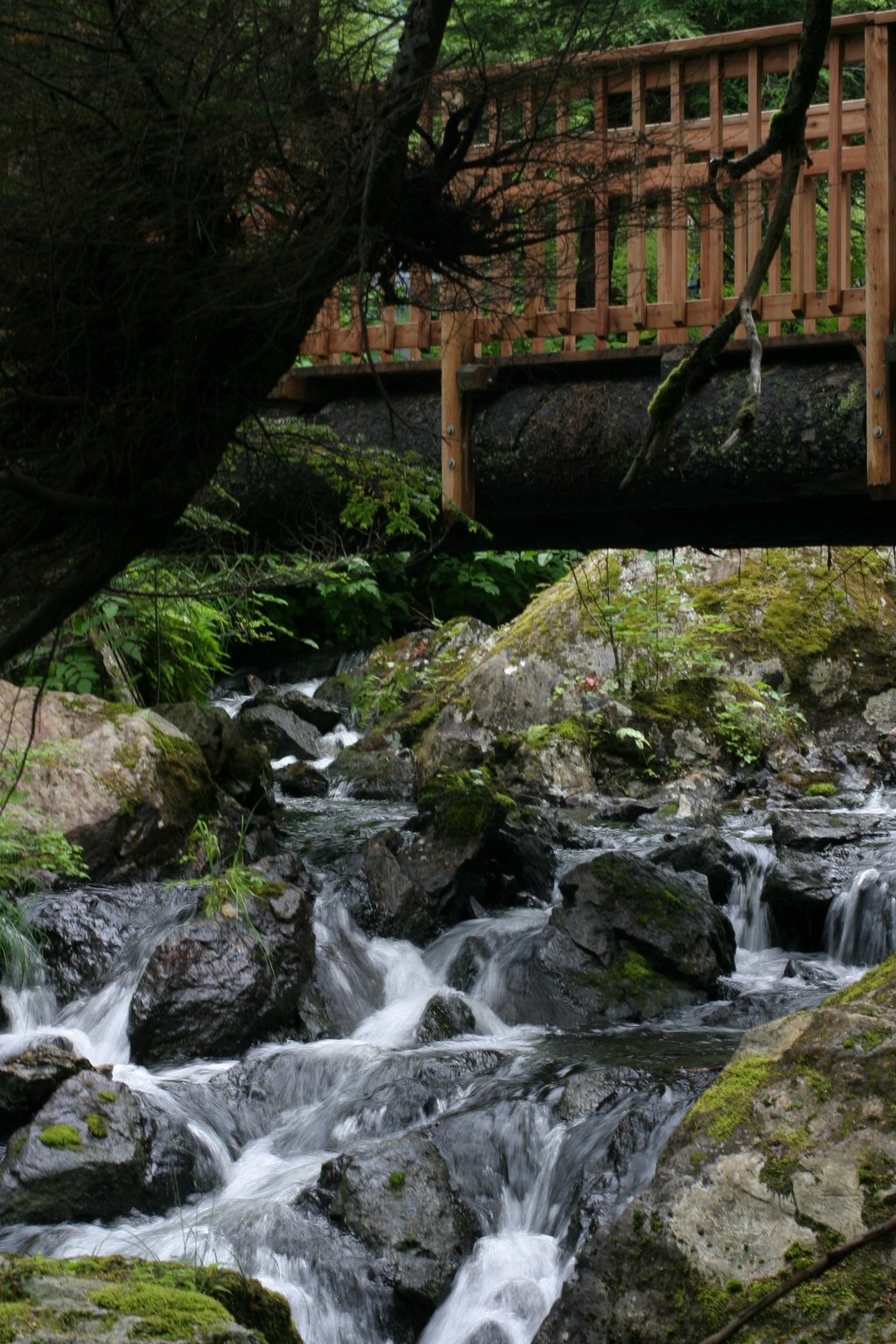 Sitka_hike_waterfall.jpg