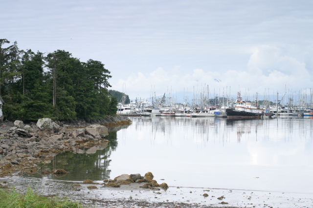 sitka_hike_harbor.jpg