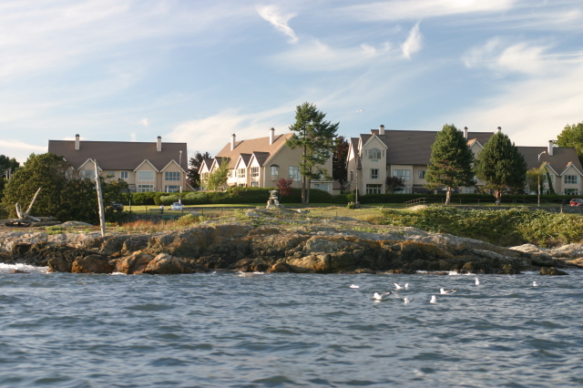 victoria_island_man.jpg