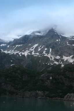 Glacier_bay_Flying_bird.jpg.jpg