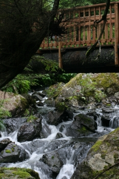 Sitka_hike_waterfall.jpg