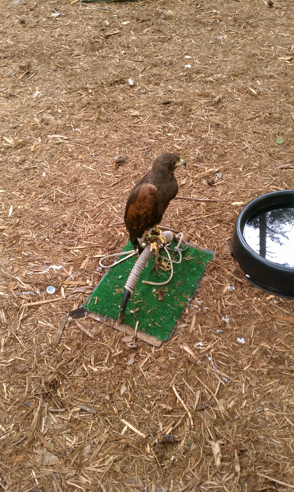 2010/07(July)/National_Jamboree/1024x768_IMAG0055.jpg