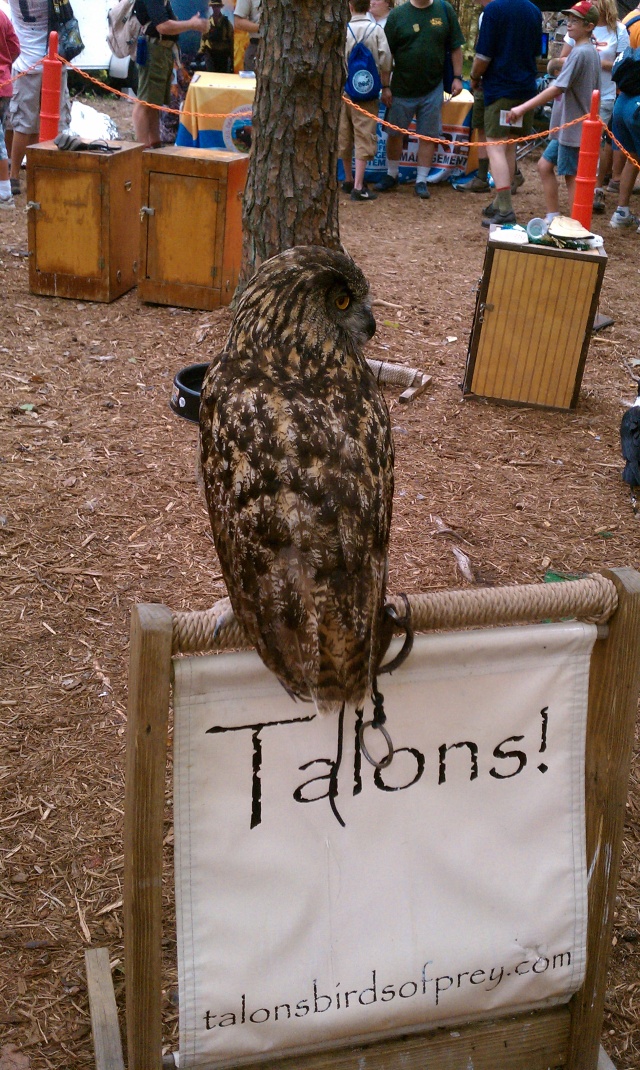 2010/07(July)/National_Jamboree/640x480_IMAG0053.jpg