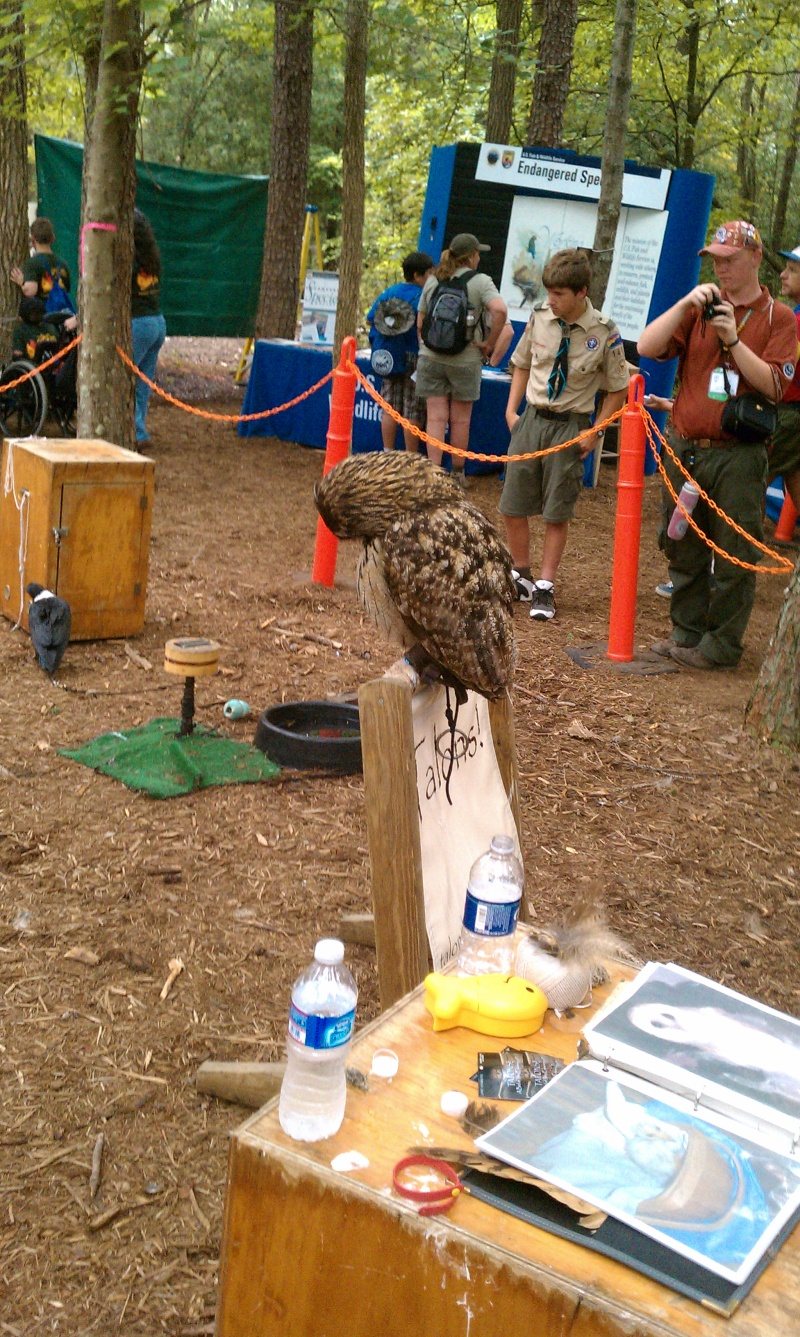 2010/07(July)/National_Jamboree/800x600_IMAG0054.jpg