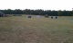 IMAG0028.jpg
