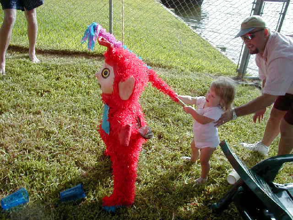 Pinata.jpg