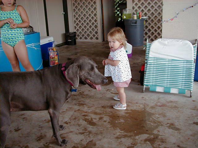 Brittney-watches-dog.jpg