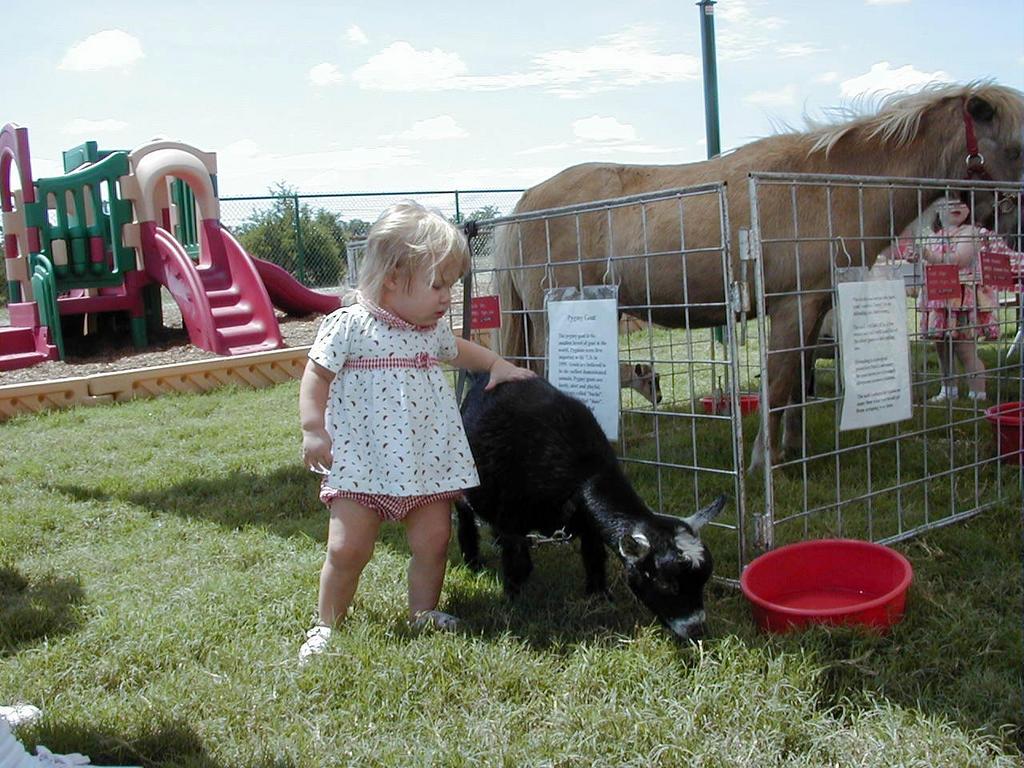 camera/1999/07(July)/07_10_Primrose_Opening/1024x768_PettingZoo2.jpg