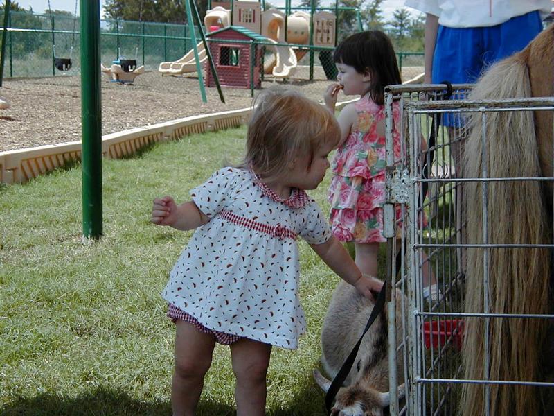 PettingZoo4.jpg