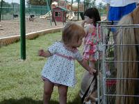 PettingZoo4.jpg