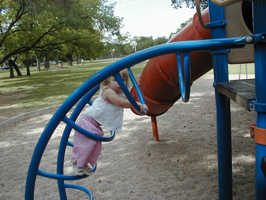 camera/1999/07(July)/07_10_Ramsey_Park/1024x768_Ladder.jpg