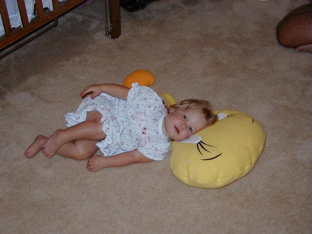 camera/1999/07(July)/Miscellaneous/640x480_Tweety-pillow.jpg