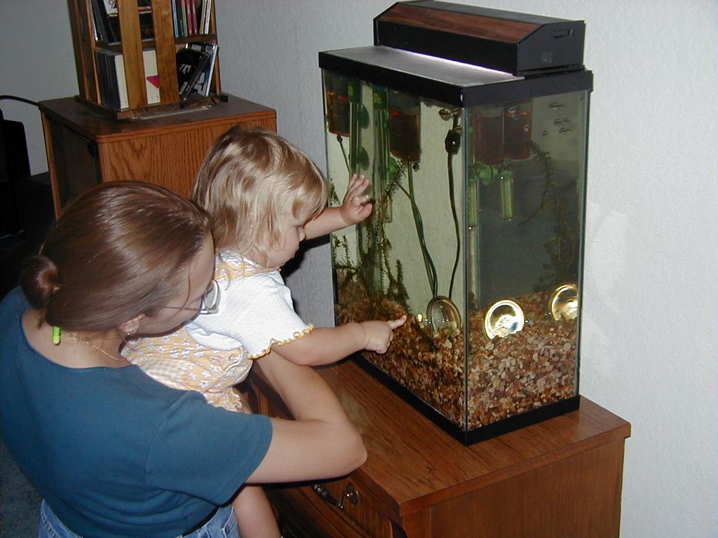 Fishbowl.jpg
