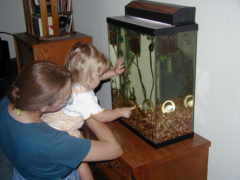 Fishbowl.jpg